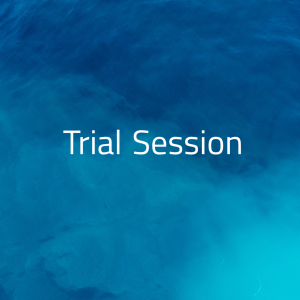 Single Session – $290 (60–80 mins)